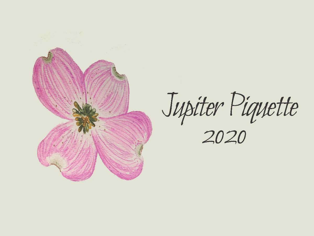 Jupiter Piquette (2020)