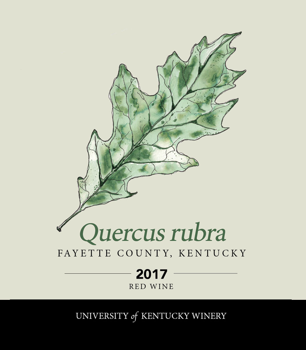 Quercus rubra 2017 Red wine