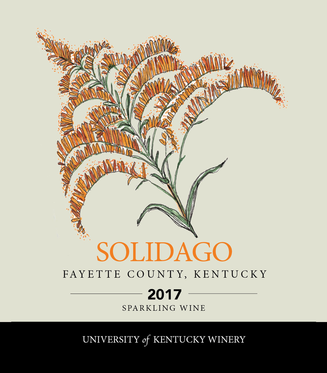 Solidago 2017 Sparkling wine