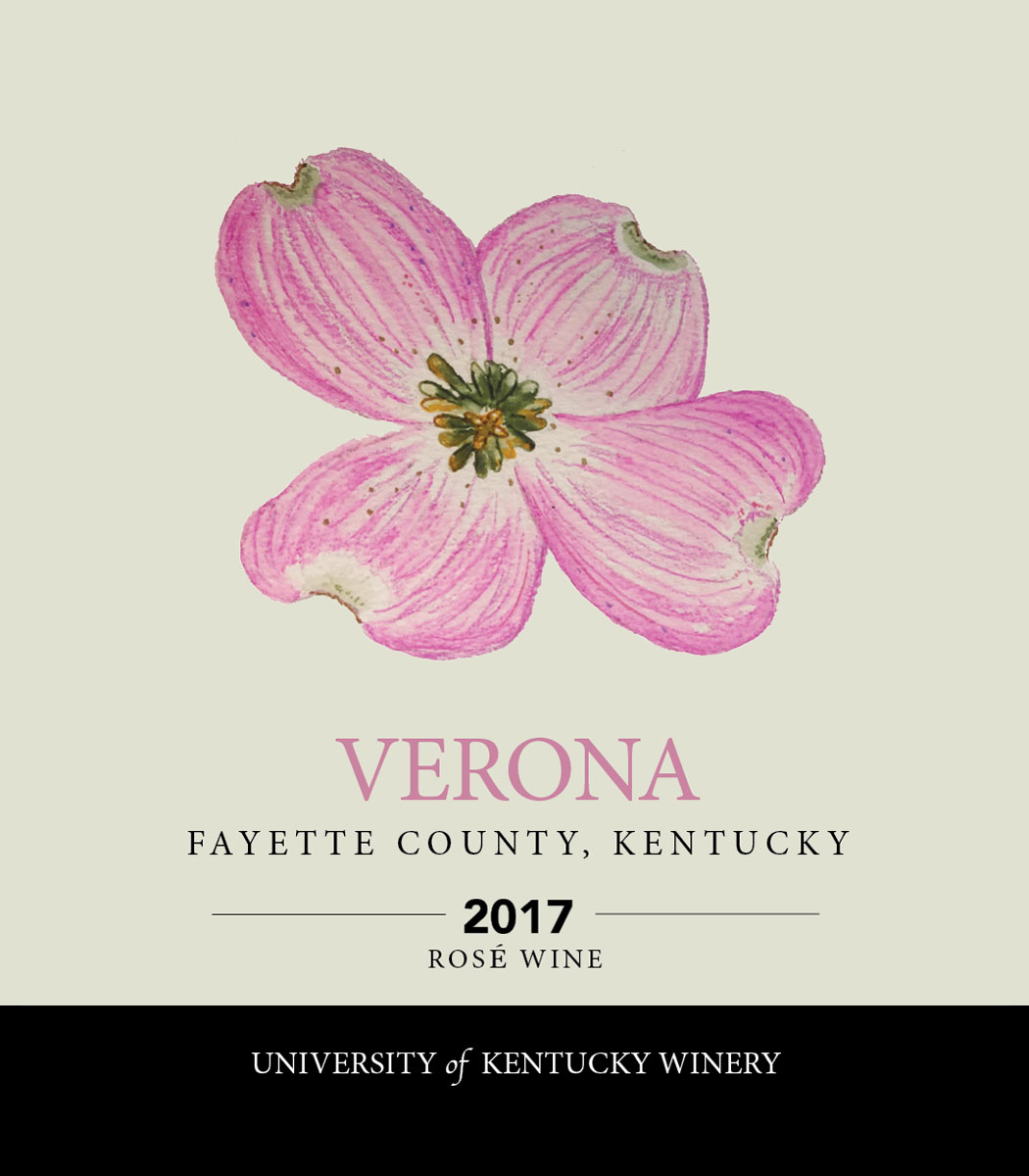 Verona 2018 Rosé  wine