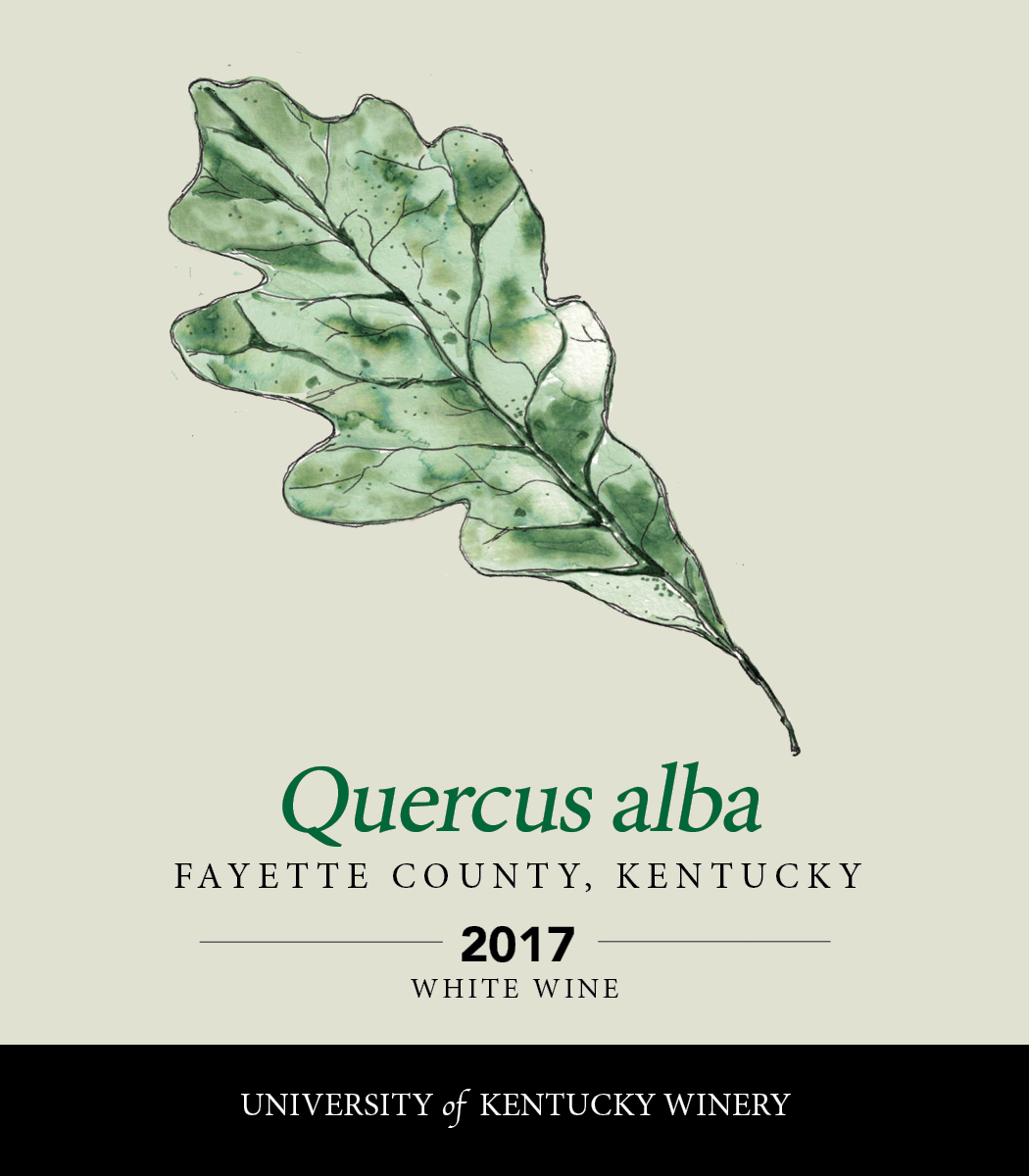 Quercus alba 2017 White wine