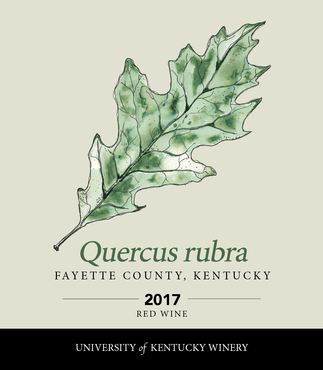 Quercus rubra 2017 Red wine