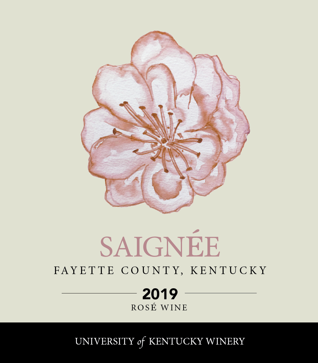 Saignée 2019 Rosé wine
