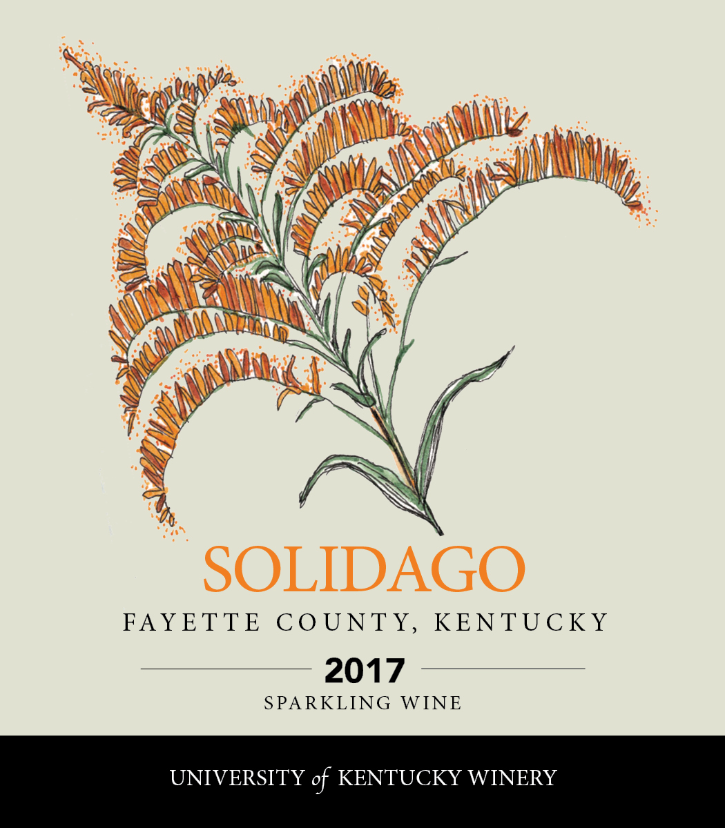 Solidago 2017 Sparkling wine